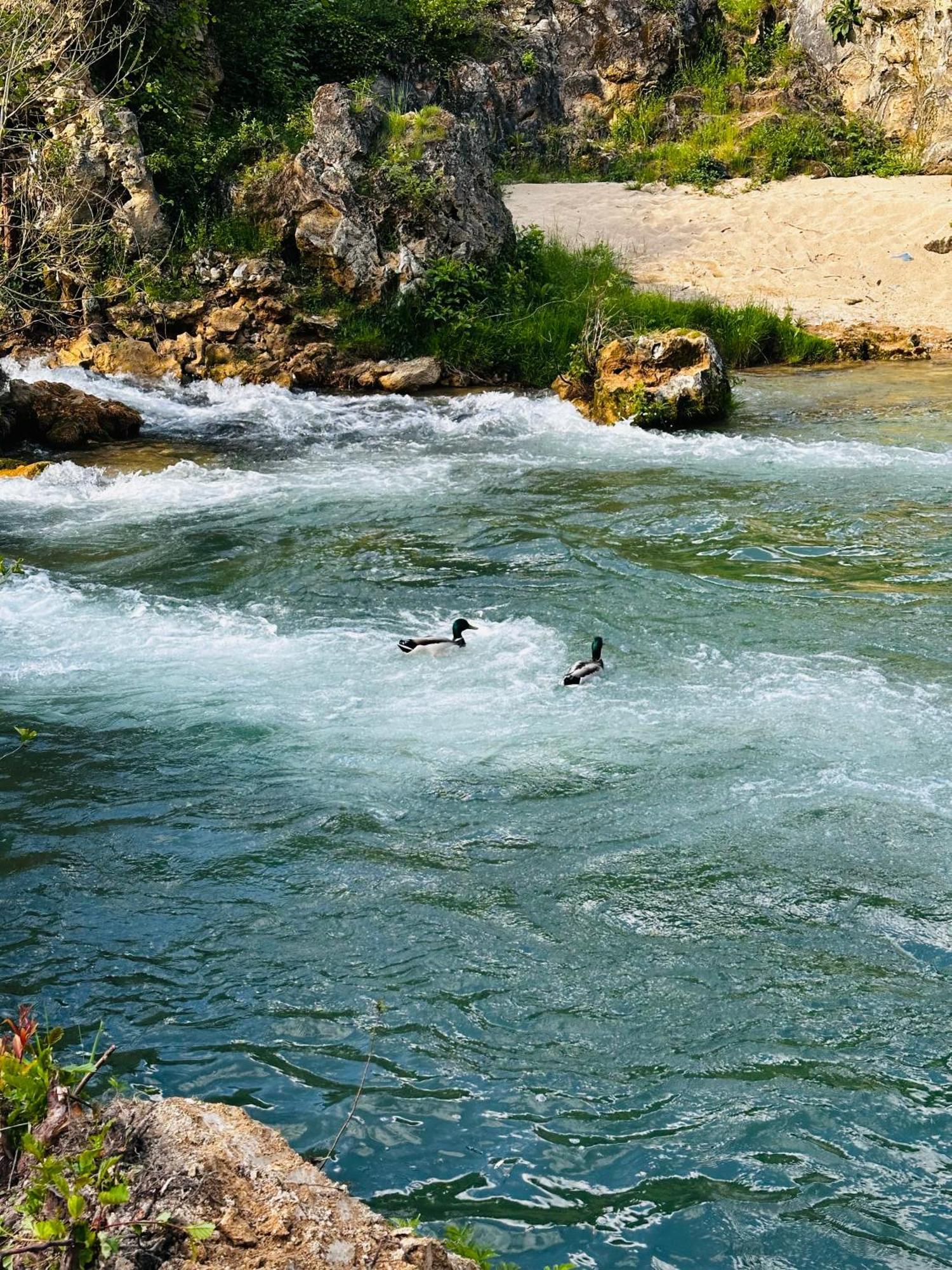 Apart Cobras Jajce Dış mekan fotoğraf
